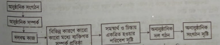 অনানুষ্ঠানিক সংগঠন | ব্যবস্থাপনা পরিসর ও বিভাগীয়করণ | ব্যবস্থাপনা নীতিমালা