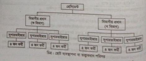 ব্যবস্থাপনা পরিসর ও ব্যবস্থাপনা পর্যায় | ব্যবস্থাপনা পরিসর ও বিভাগীয়করণ | ব্যবস্থাপনা নীতিমালা
