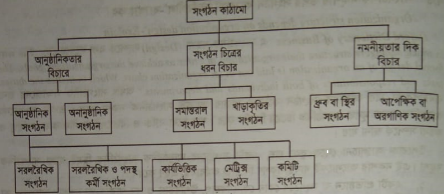 সংগঠন কাঠামোর শ্রেণিবিভাগ | সংগঠন কাঠামো এর শ্রেণিবিভাগ ও কমিটি সংগঠন | ব্যবস্থাপনা নীতিমালা