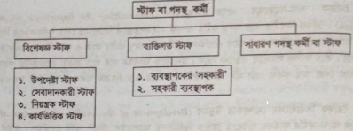 পদস্থ বা সহযোগী কর্মীর প্রকারভেদ