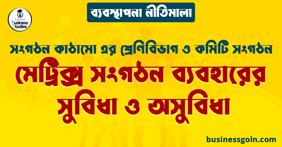 মেট্রিক্স সংগঠন ব্যবহারের সুবিধা ও অসুবিধা | সংগঠন কাঠামো এর শ্রেণিবিভাগ ও কমিটি সংগঠন